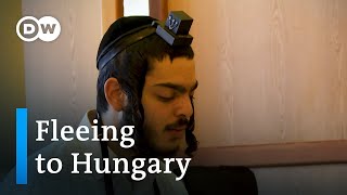 How Jews from Israel are seeking refuge in Hungary  Focus on Europe [upl. by Zel930]