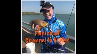 My Darwin trip Fishing at Channel Is bridge [upl. by Ahsinik]