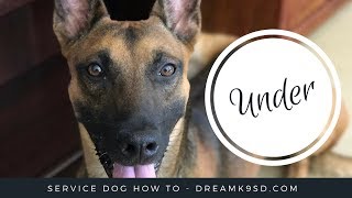 How to teach quotunderquot service dog training [upl. by Holsworth345]