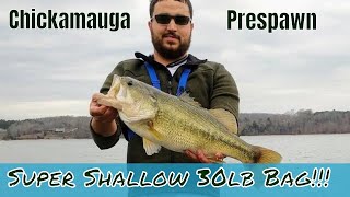 Lake Chickamauga Late Winter 30lb sack Big Bass [upl. by Nuhsyar848]