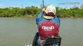 MAIOR PEIXE DE ÃGUA DOCE PIRAÃBA UM GIGANTE DE 226M PESCARIA NO RIO ARAGUAIA [upl. by Sucirdor229]