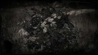 Red Raspberry Plant Location  Red Dead Redemption 2 RDR2 Herbs [upl. by Ludovick848]