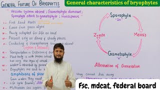 General features of bryophytes  general characteristics of bryophytes  class 11 [upl. by Finegan828]