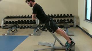 Erector Spinae Workout Prevent Erector Spinae Pain Strain and Injury [upl. by Nauj]