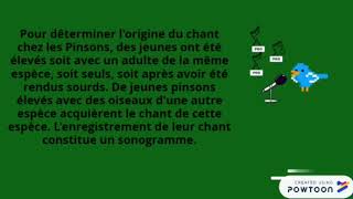 Le chant des Pinsons des arbres et la diversification des vivants [upl. by Mar]