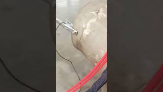 dual wire feeder for laser welding machine weldingwire doublewirefeeder laserwelding weld [upl. by Adnylg]