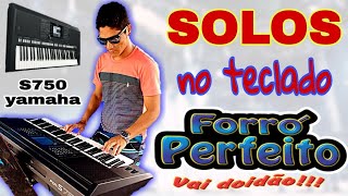 Solos forró perfeito 2017 Indio dos Teclados [upl. by Ylrae]