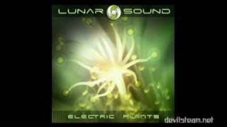 Lunar Sound  Electric Plants 2005 [upl. by Elok]