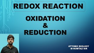 Redox Reaction  Oxidation  Reduction  Easy Explanation  Chemistry  NEET  11th  12th [upl. by Carmencita]