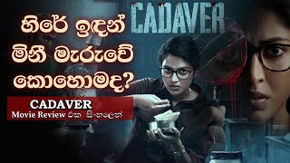 සිව් වසරක මළසිරුරක් හෙළි කරපු අභිරහස  Cadaver Movie Review in Sinhala  Movie Reviews in Sinhala [upl. by Ttegdirb]