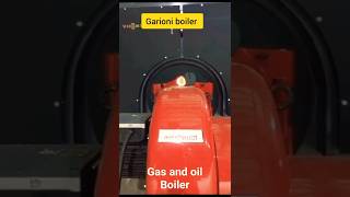 Gas amp oil Garioni boiler youtube electricalmaintenance boiler powerplant viral fire yt [upl. by Thirzia542]