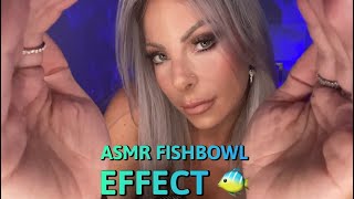 ASMR Fishbowl Effect For Sleep amp Tingles 🐠 Close Whispering [upl. by Kylynn200]