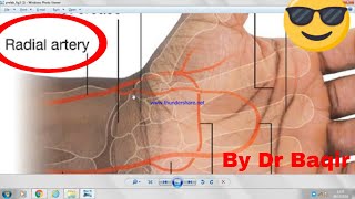 Radial artery anatomy 3D Easy to Remember [upl. by Rocco721]