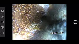 625 Kingman Ave Santa Monica CA 90402 sewer lateral camera inspection video [upl. by Faxun]