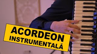 ACORDEON MUZICA INSTRUMENTALA [upl. by Uol]