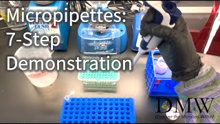 Micropipettes 7Step Demonstration [upl. by Cadell]