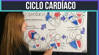 CICLO CARDÍACO ¡fácil explicación  Mentes Médicas [upl. by Adelina]