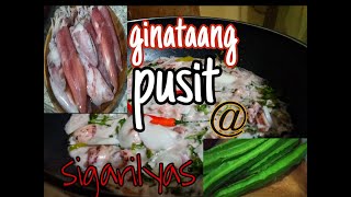 How to cook ginataang pusit with sigarilayas [upl. by Ellevel]