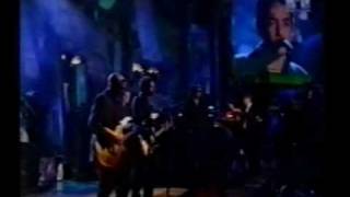 The Wallflowers  Heroes  Live 1998 [upl. by Etteraj]