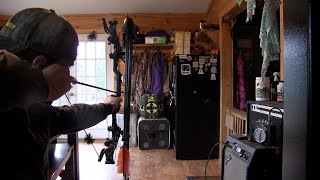 Oneida Eagle Phoenix  Instinctive archery  Push Pull Release  The Basics of shooting form [upl. by Miquela219]