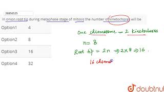 In onion root tip during metaphase stage of mitosis the number of kinetochores will be [upl. by Karney]