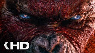 Godzilla x Kong The New Empire Teaser Trailer 2024 Godzilla vs Kong 2 [upl. by Ielirol492]