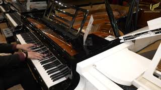 Feurich 218 Concert 1 Grand Piano  Demonstrated by Sherwood Phoenix [upl. by Yesnel]