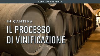 Il processo di vinificazione in pochi step  Tannico Flying School [upl. by Rehpotsrihc]