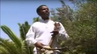 Brhane Gebremikael wata Tigray music ብርሃነ ገብረሚካኤል ዋጣ ኣነ ምሳኺ ወለል [upl. by Helenka362]