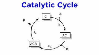 Principles of Homogeneous Catalysis [upl. by Hoppe]