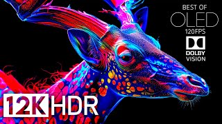 Best of Dolby Vision 12K HDR 120fps  Most Powerful Epic OLED [upl. by Anatola446]