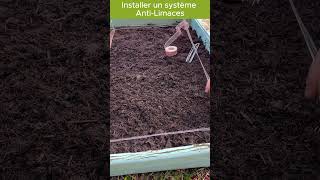 Installer un système anti limaces naturel jardinage potager garden jardin gardening bio [upl. by Chara]