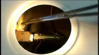 How to Clean and Maintain Your Tuttnauer Automatic Autoclave  Part 2 [upl. by Sanjay]