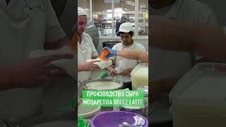 Производство сыра моцарелла на сыроварне Dolce Latte cheese dolcelatte сыр моцарелла продукты [upl. by Nedmac]