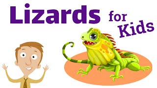 Lizards for Kids  Homeschool Pop [upl. by Navnod]