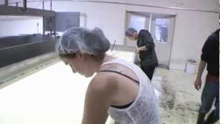 Making Raw Milk Cheese at Full Circle Creamery [upl. by Nina]