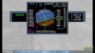 09 FMA quotFlight Mode Annunciatorquot  A320 Family Courses [upl. by Colbye]