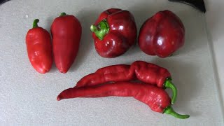 Comparing and Ranking Lesya Lipstick and Jimmy Nardello Sweet Peppers [upl. by Idleman]