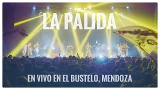 Gauchito Club  La Pálida  EN VIVO en Bustelo  Mendoza 2022 [upl. by Photina429]