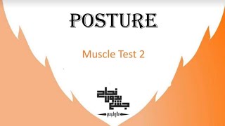 Anterior Postural Assessment Muscle Test 2 [upl. by Spiro]