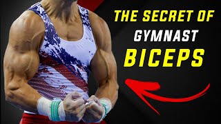 How Gymnasts Have So HUGE Biceps Secret Revealed [upl. by Hesther]