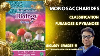 Monosaccharides  Aldo amp Keto Sugars  Furanose amp Pyranose Sugars  Grade 11 Biology  Federal KPK [upl. by Navaj]