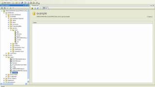 How to Add Login to Microsoft SQL Server 2005 2008 Express [upl. by Ahsiuqel845]