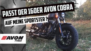 🐍 passt der 160er Avon Cobra  🐍 Reifenwechsel Forty Eight  Harley Davidson  Motovlog [upl. by Irrak578]