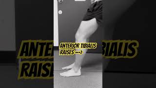 Anterior tibialis raises pianomusic music anteriortib shiny shin shin movementmonday [upl. by Oirretno796]