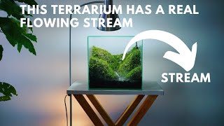 making a mossy hills terrarium with a real flowing stream [upl. by Clary]