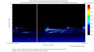 Powerful Sonar Pings and Sweeps in the Strait of Georgia [upl. by Shiverick848]