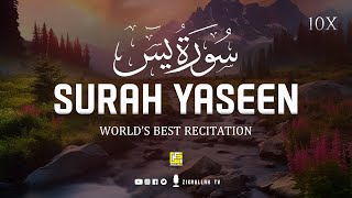 Worlds most Amazing recitation of Surah Yasin Yaseen سورة يس  Zikrullah TV [upl. by Fried398]