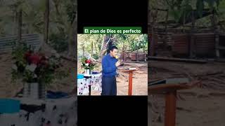 El plan de Dios es perfecto [upl. by Einamrej]