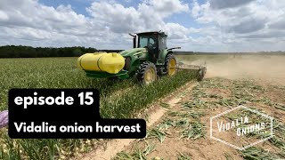 Episode 15 Vidalia onion harvest [upl. by Tanny]